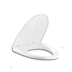 Nắp rửa bồn cầu Basics BSA-124S