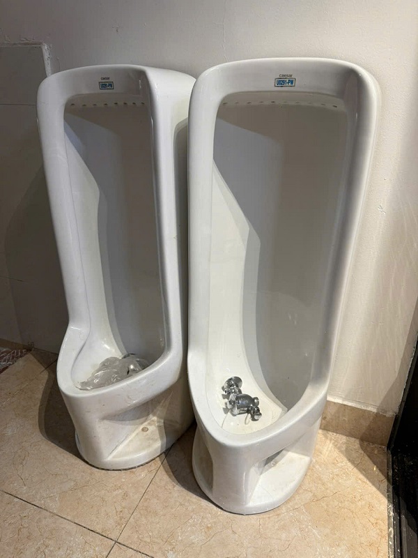 505578132_4012529712293070_1016495912764402209_n