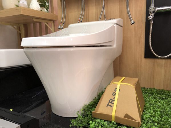 Bồn cầu Inax AC-1008VRN