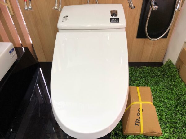 Bồn cầu Inax AC-1008VRN