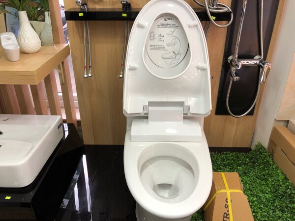 Bồn cầu Inax AC-1008VRN