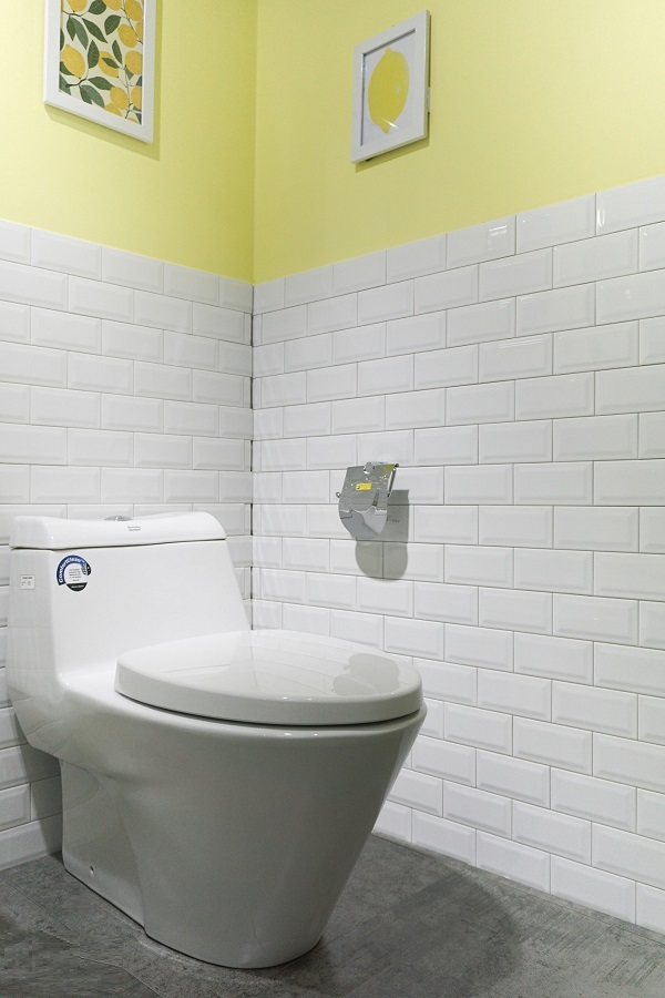 american20standard20vf-2010-1