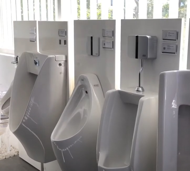 american20standard20wf-8619