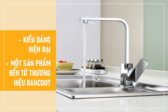 bancoot20bcv208019-2