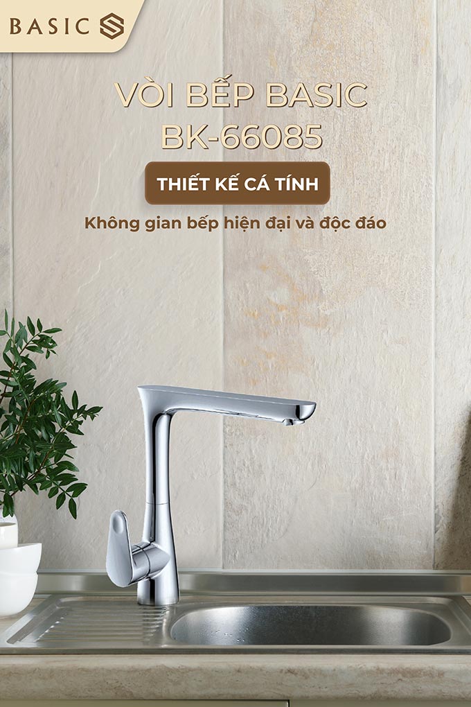 basic20bk-66085-1