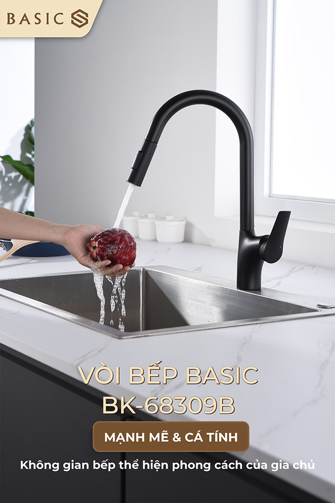 basic20bk-68309b-1-1
