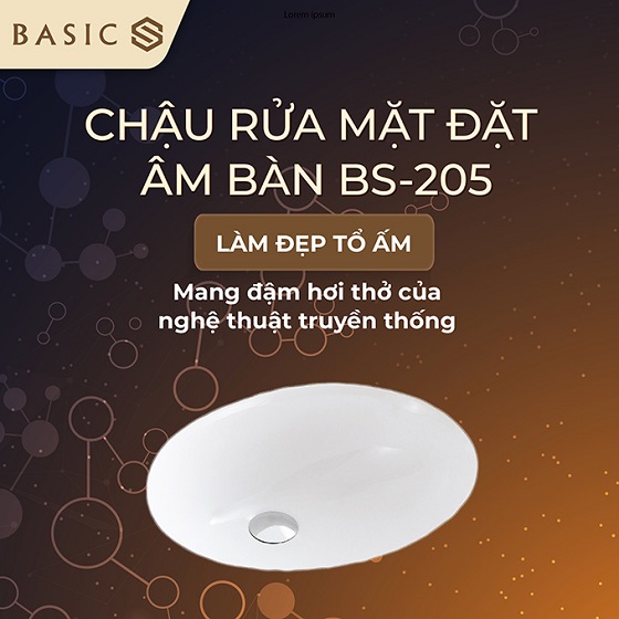 basic20bs-205-1