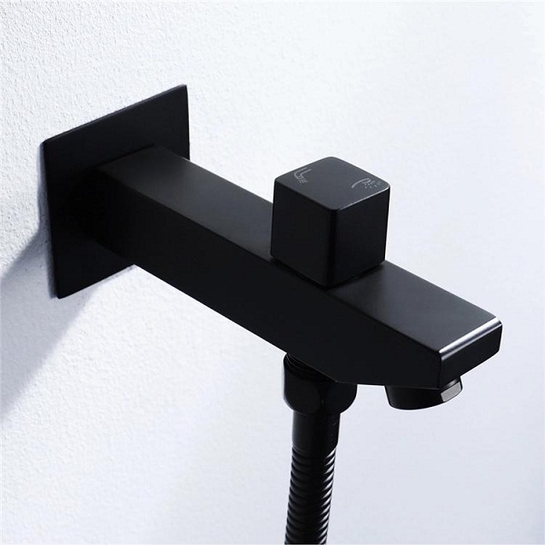 bat-sen20am20tuong-hi05046f