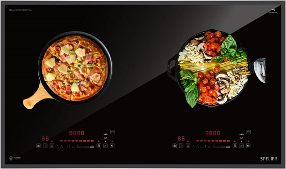 bep-tu-spelier-spm-868i-plus-2