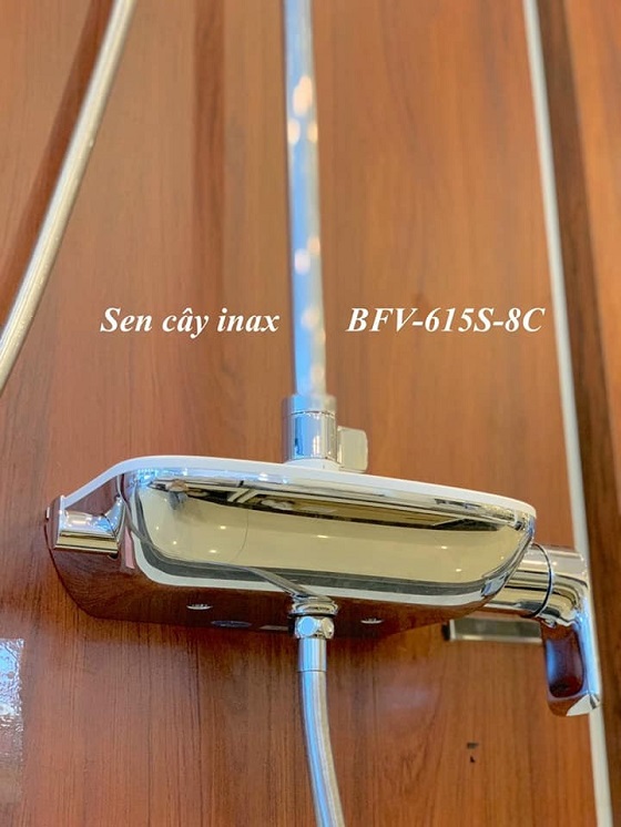 bfv-615s-8c-6