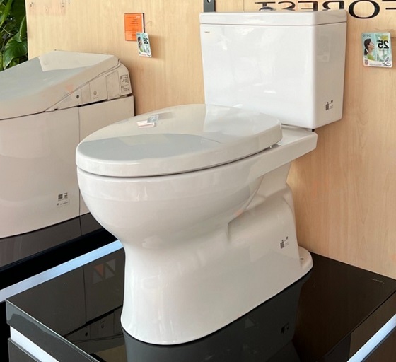 bon-cau-toto-cs302dt3