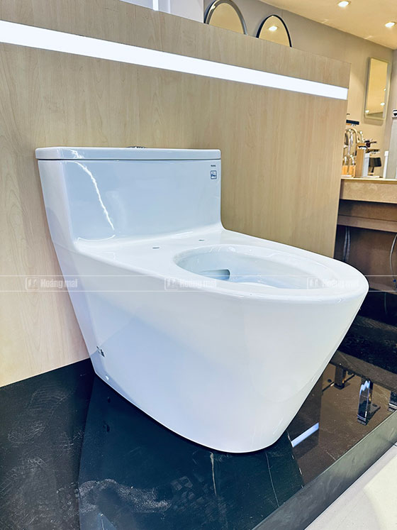 bon-cau-toto-ms625dt8-2
