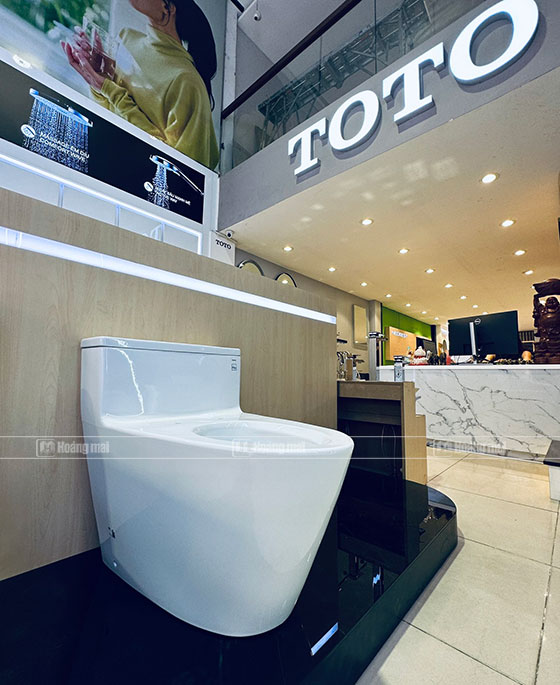 bon-cau-toto-ms625dt8-5
