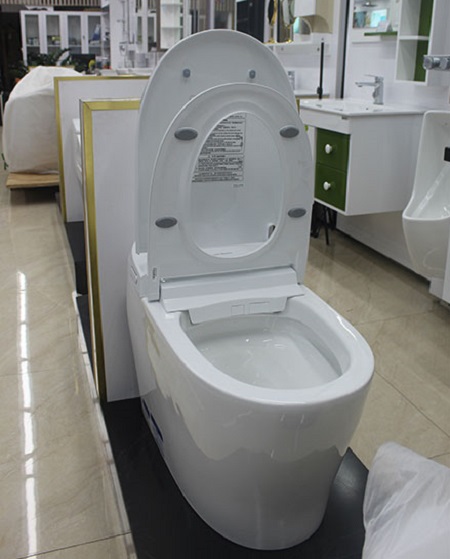 bon20cau20american20standard20e-life20wp-70dy-1