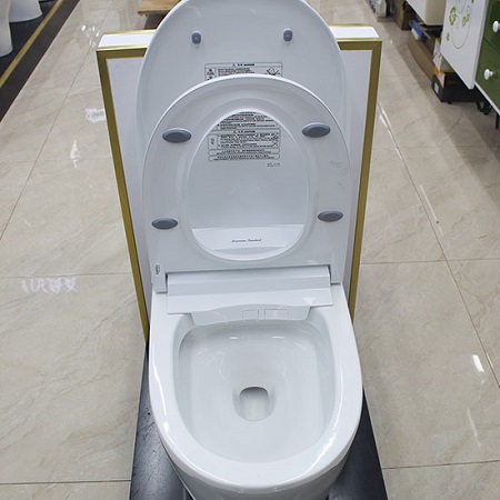 bon20cau20american20standard20e-life20wp-70dy-2