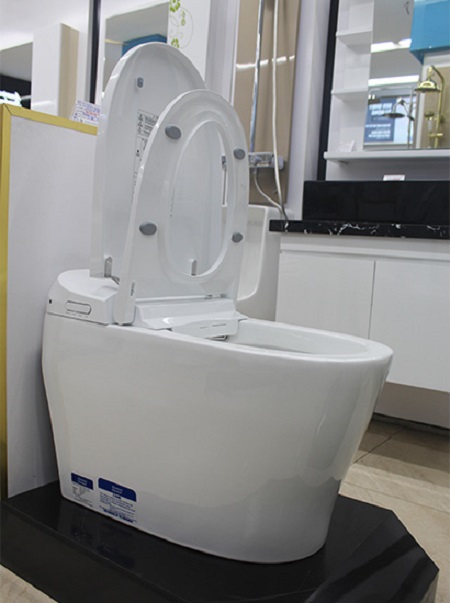 bon20cau20american20standard20e-life20wp-70dy-3