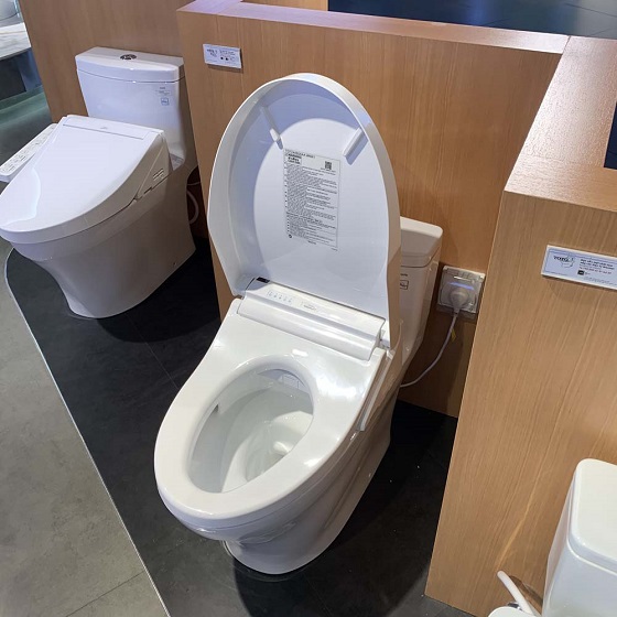 bon20cau20toto20ms855cdw15-5