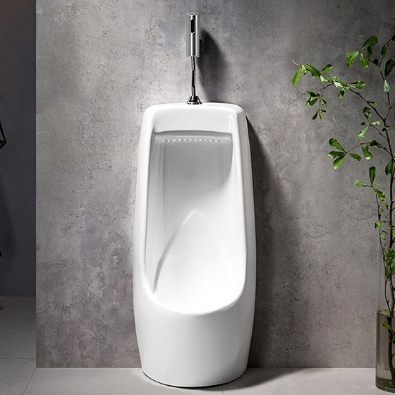 bon20tieu20nam20basic20bu-012-2