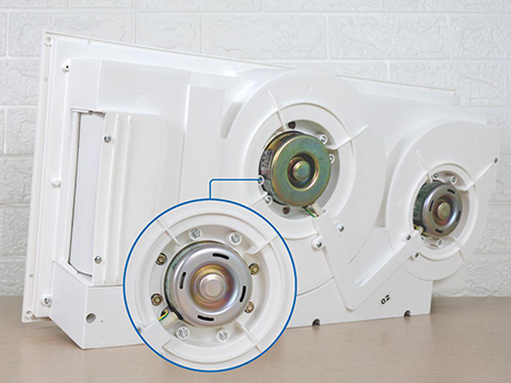 braun20kohn-2