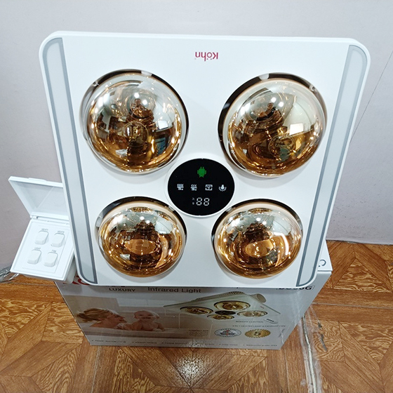 braun20kohn20bu06g-2