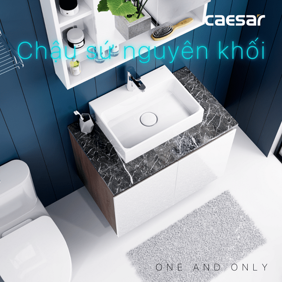 caesar20l5261-eh48001awv-3