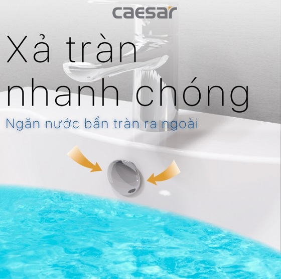 caesar20lf5263-pf2463-3