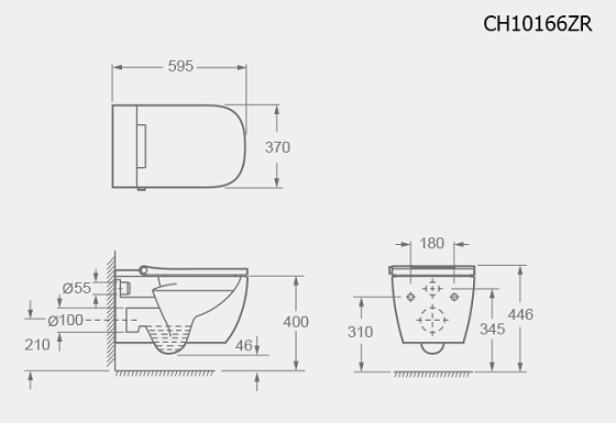 ch10166zr305