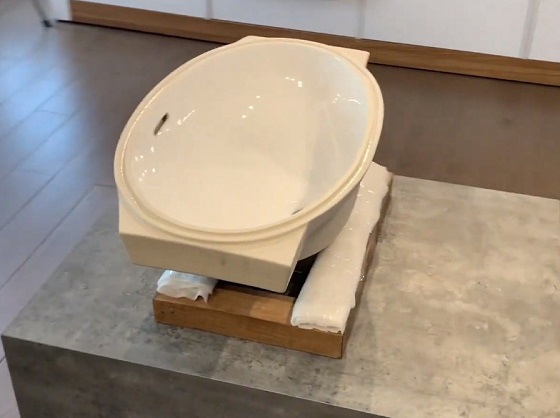 chau-lavabo-toto-lw1505v-3-1