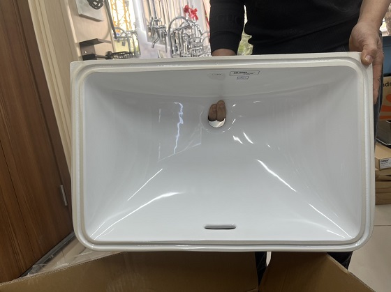 chau-toto-lw1536v-tl516gv-1