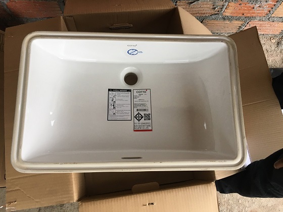 cotto20c05157