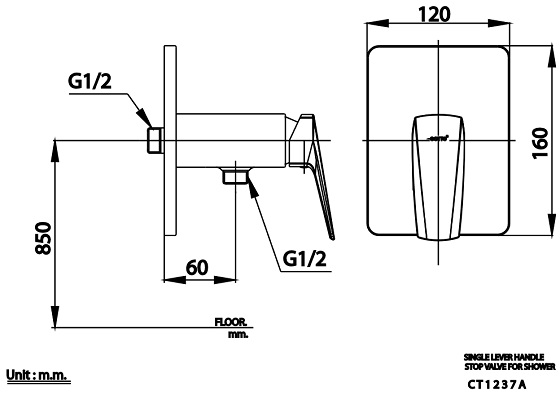 cotto20ct1237a-bv