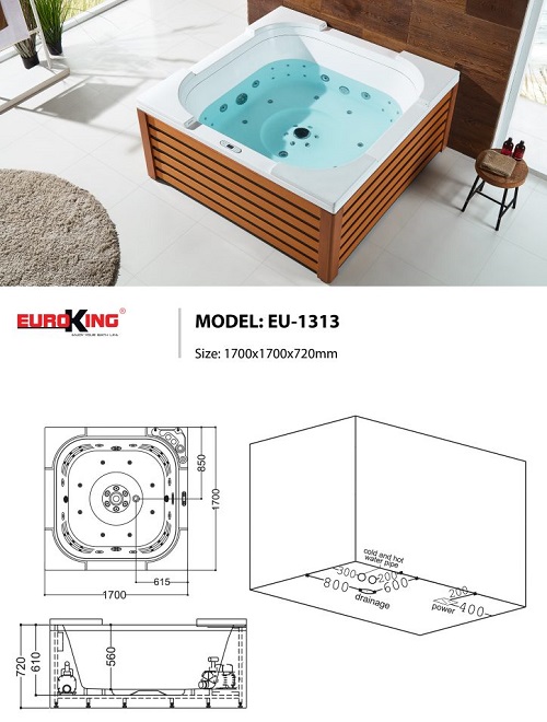 eu-1313-bv