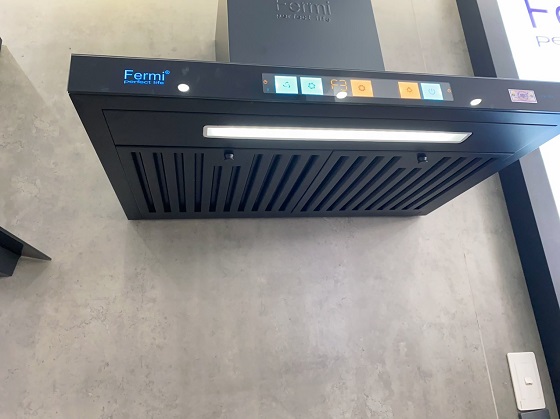 fermi20eh006-2