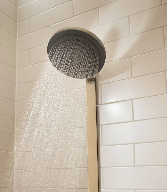 hansgroe20pulsify2024240140-2