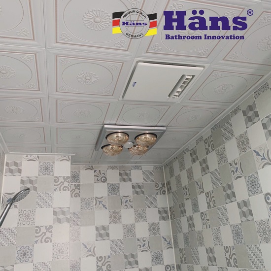 hc3a4ns-h10r-3