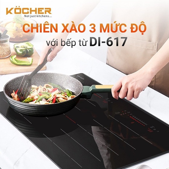 kocher20di-617-1