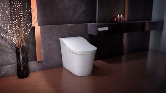 kohler20innate20k-8340k-2-0-1