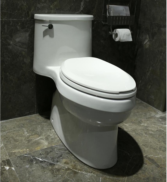 kohler20k-5171t-cm-0-2