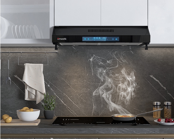 may-hut-mui-dmestik-tl-487020dmk