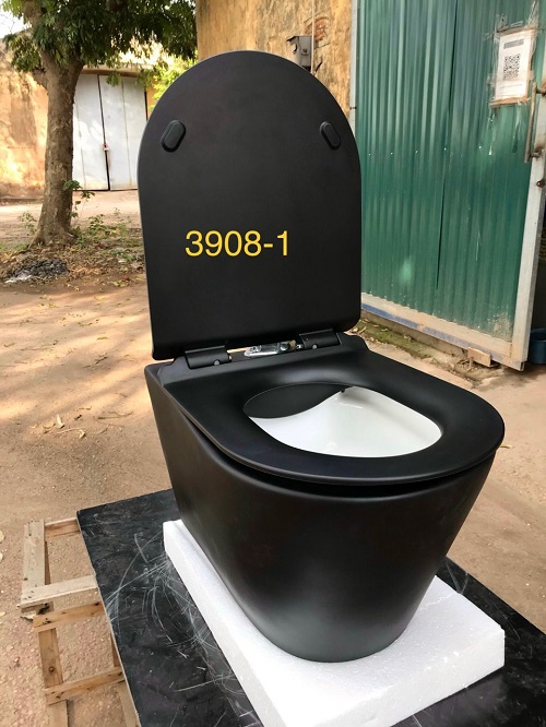miken203908-1-5
