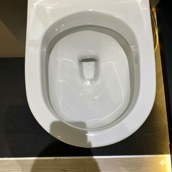 moen20sw3117c1-3