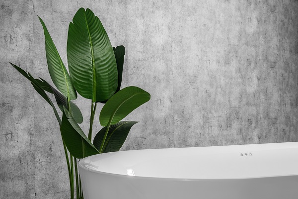 mowoen20mw8229-170-ms-8