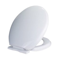 Nắp bồn cầu giá rẻ Hùng Anh HA05