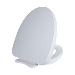 Nắp bồn cầu giá rẻ Hùng Anh HA10