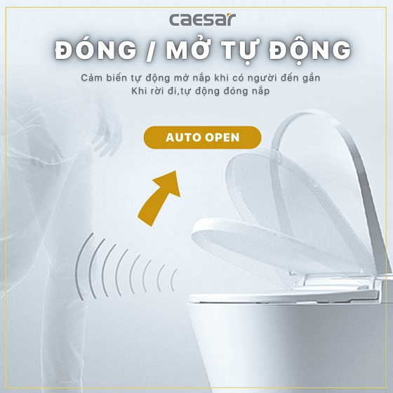 nap20caesar20taf512h-2-8