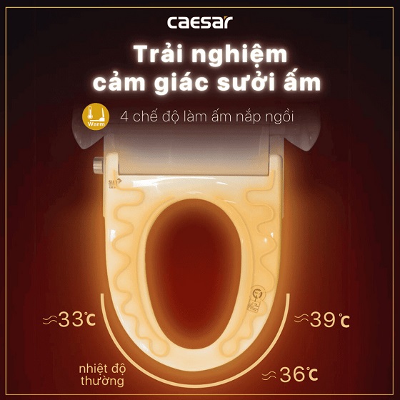 nap20caesar20taf512h-8-5