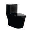 Bồn cầu két liền Royal RA-6641 Black