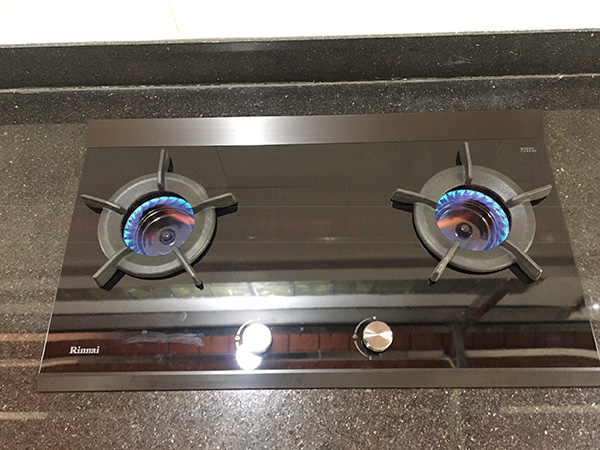 rinnai-rb-2vcgn-1