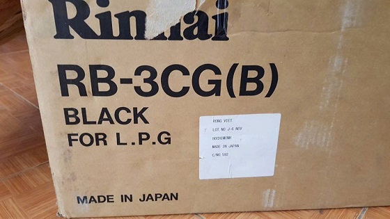 rinnai20rb-3cg-7