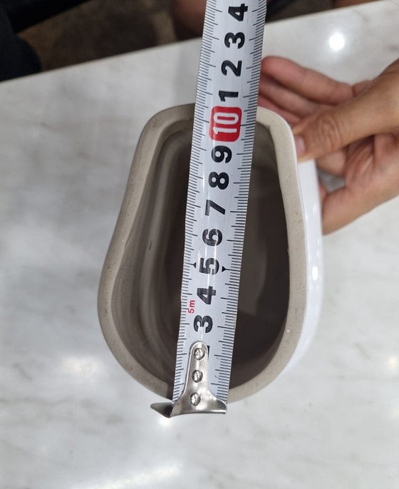 ron-tieu-nam-caesar-1